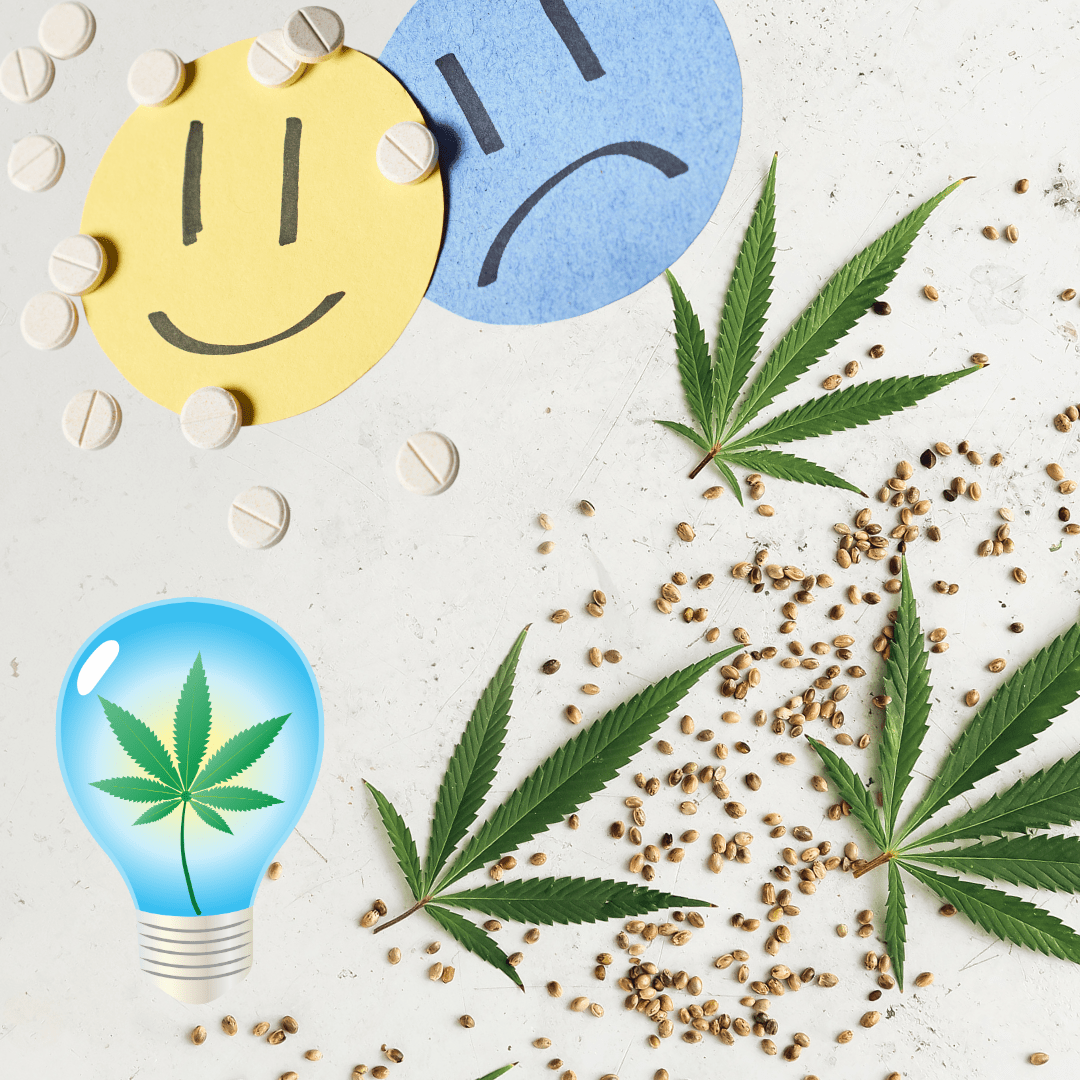 Anxiety Las Cruces Cannabis