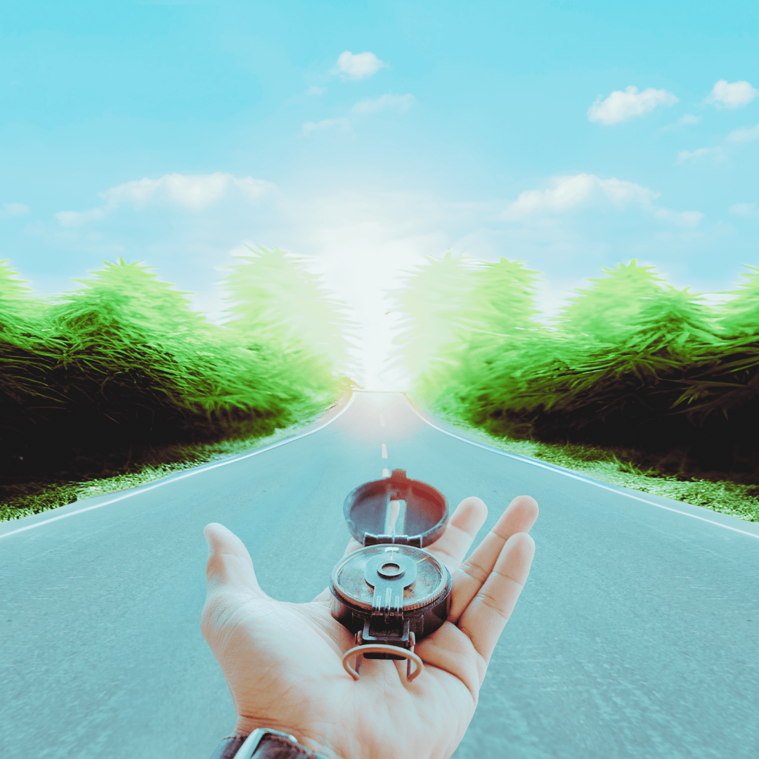 new to cannabis pharmtrue