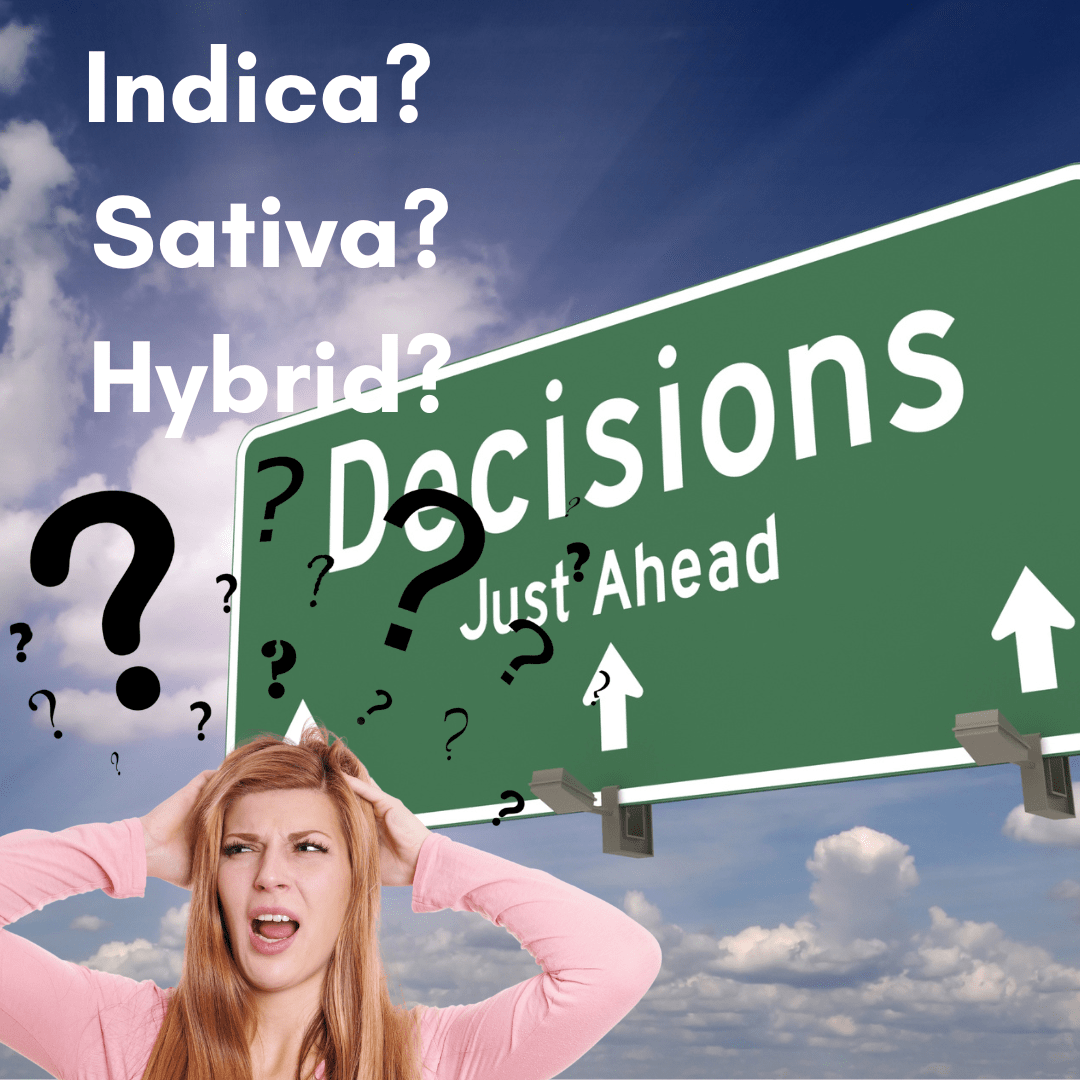 indica sativa