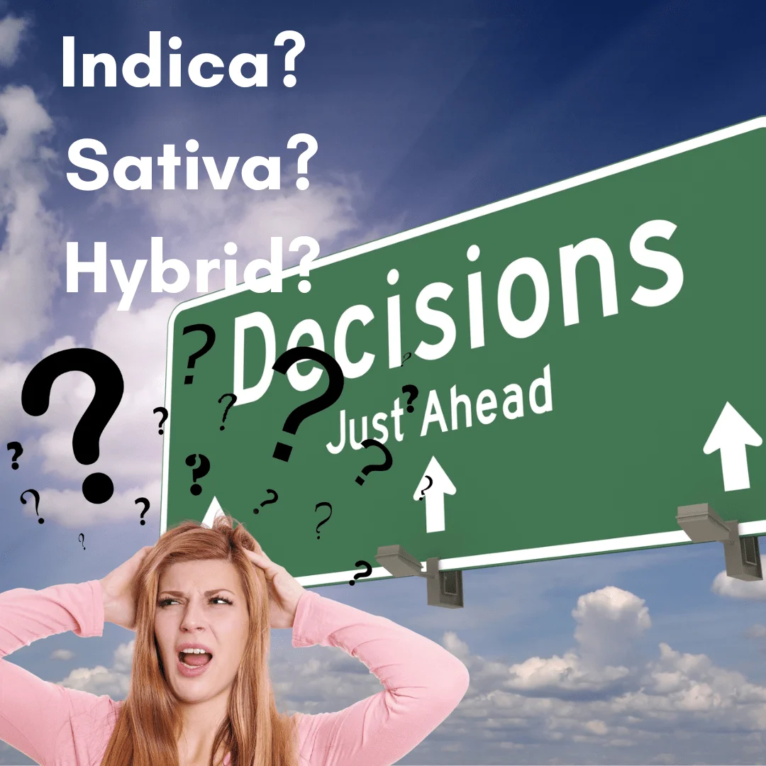 indica sativa