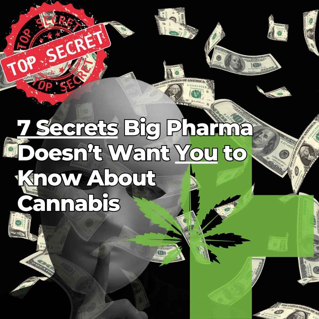 big pharma cannabis